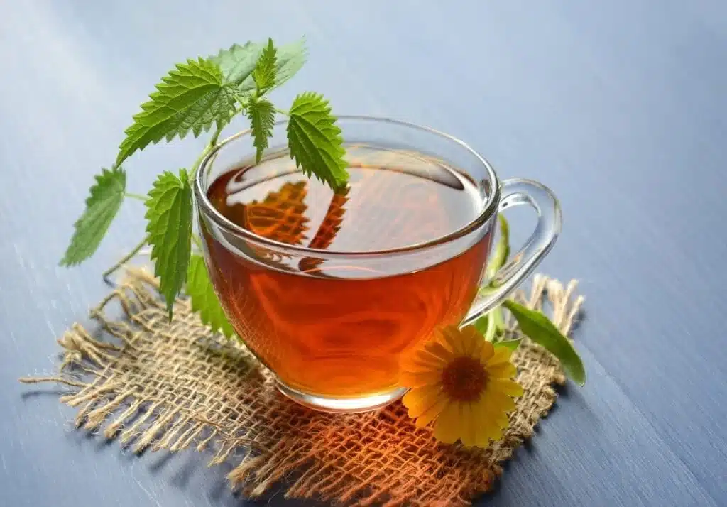 Revigore seu Dia com Chás Energizantes: Receitas para um Novo Ânimo